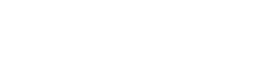 Peregoff and Company Logo | Merger & Acquisition Integration Services