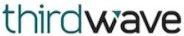 third_wave_consulting_inc__logo third wave consulting inc logo e1747864163921